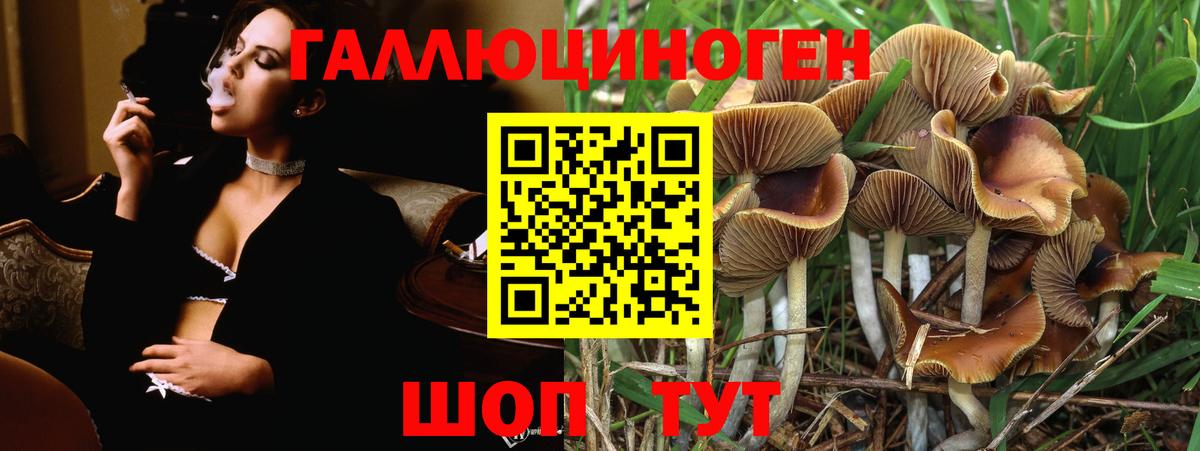 Туапсе  Галлюциногенные грибы Cubensis  где продают наркотики  Вход с VPN  Галлюциногенные грибы мухоморы 